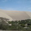 Peru Sand Dunes 3381