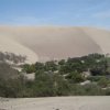 Peru Sand Dunes 3382