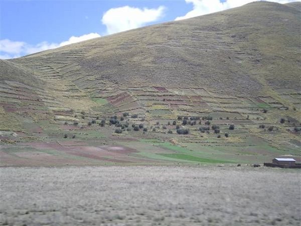 Lake Titicaca 417