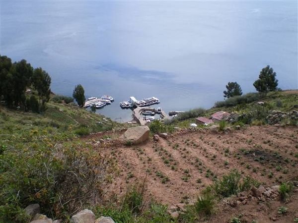 Lake Titicaca 469