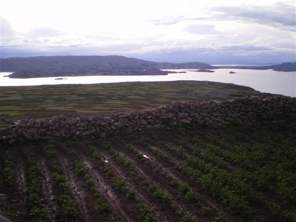 Lake Titicaca 476