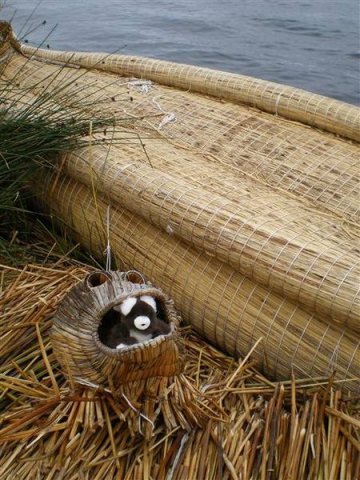 Lake Titicaca 540