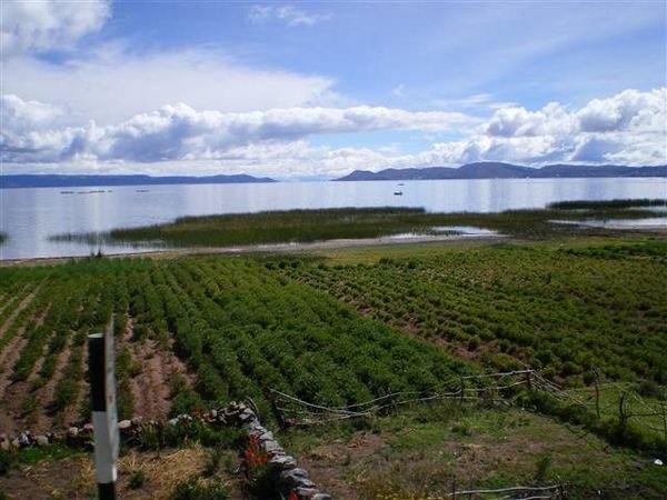 Lake Titicaca 550