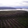 Lake Titicaca 476