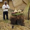 Lake Titicaca 516