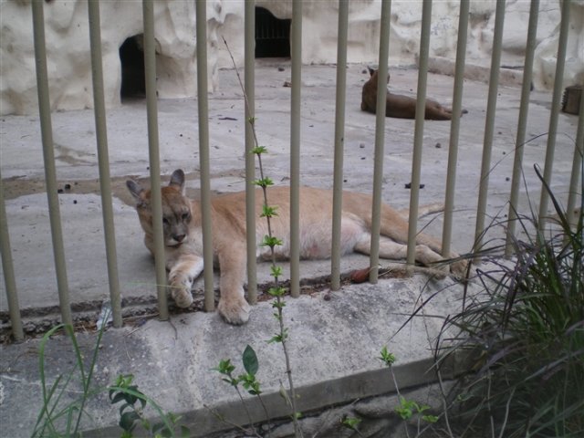 Cordoba_1421