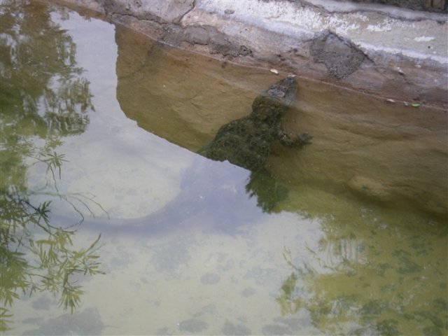 Cordoba_1423