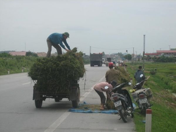 Halong_Bay_34