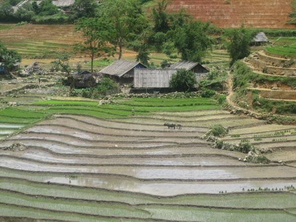 Sapa_Valley_131