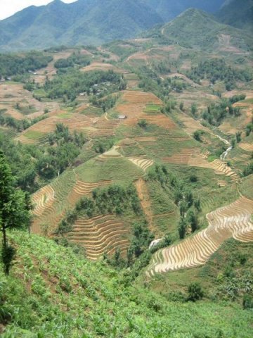 Sapa_Valley_159