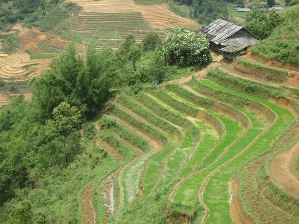 Sapa_Valley_162