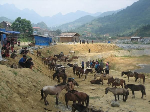 Sapa_Valley_18