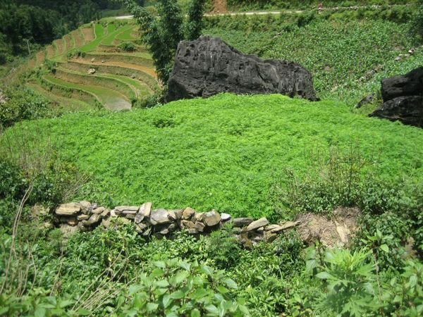 Sapa_Valley_191