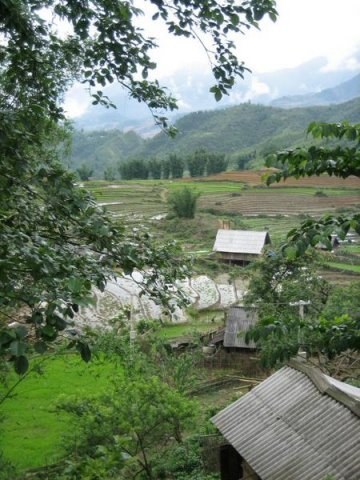 Sapa_Valley_208