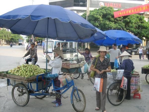 Sapa_Valley_250