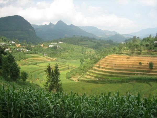 Sapa_Valley_260