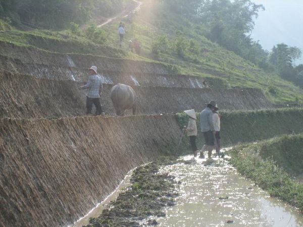 Sapa_Valley_38