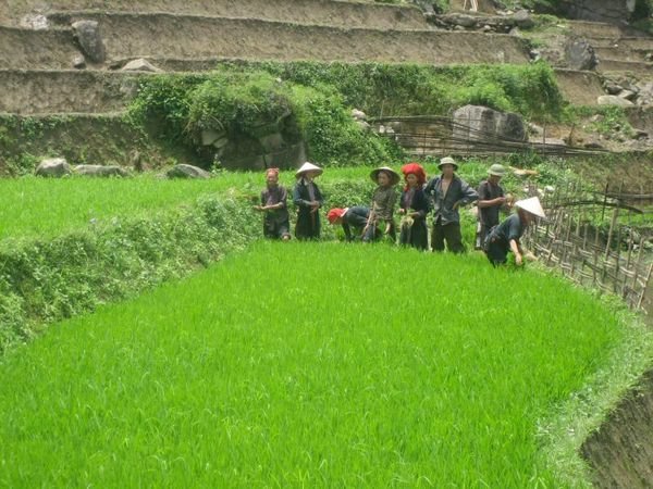 Sapa_Valley_58