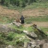 Sapa_Valley_135