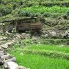 Sapa_Valley_139