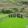 Sapa_Valley_57