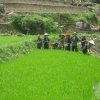 Sapa_Valley_58