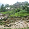 Sapa_Valley_67