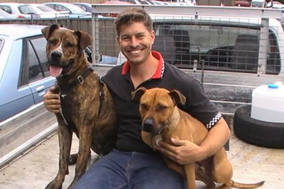 David Graham with Zack and Kujo learning to ride on the back of a ute