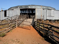 Isis_Downs_Shearing_Shed