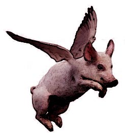 flying pig