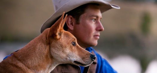 David Graham hosts Dingo, Wild Dog at War